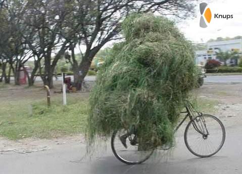 de tuin mee op de fiets