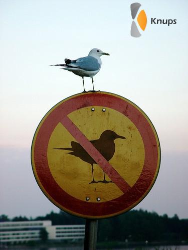 verboden voor vogels