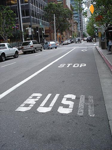 stop bush