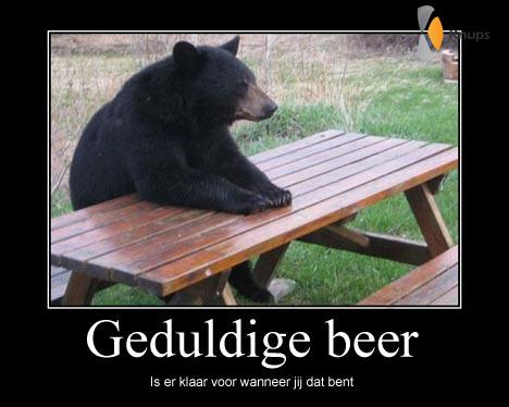 geduldige beer